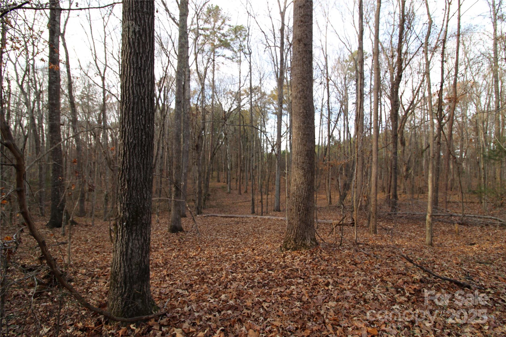 14.5-ac Pioneer Road York, SC 29745 - Photo 12 of 18 a backyard of a house with lots of green space