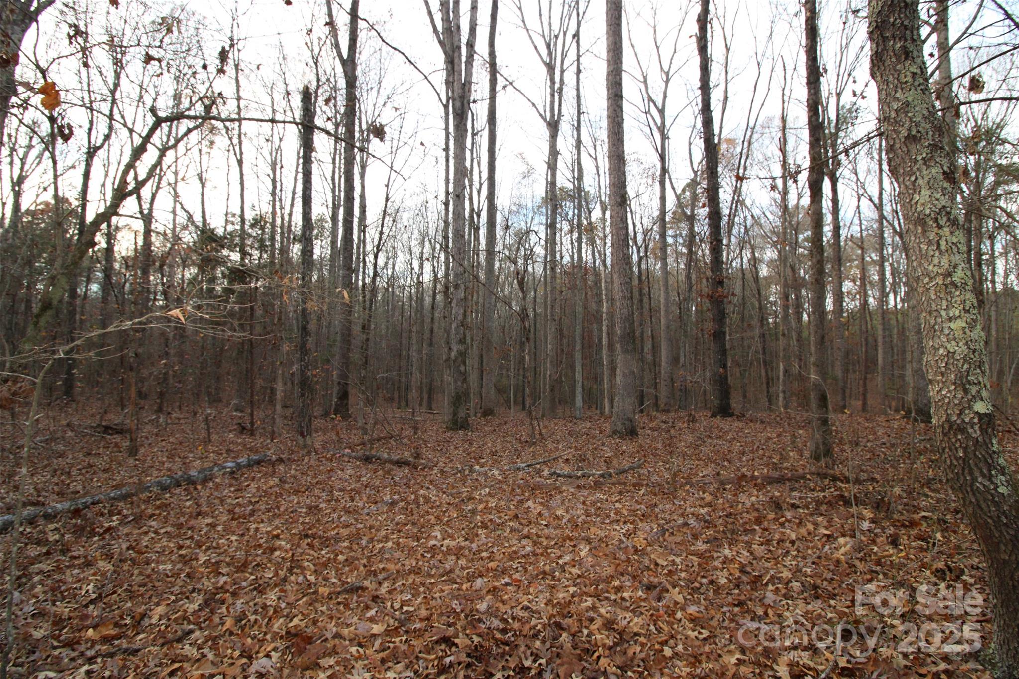 14.5-ac Pioneer Road York, SC 29745 - Photo 14 of 18 a view of outdoor space with wooden fence