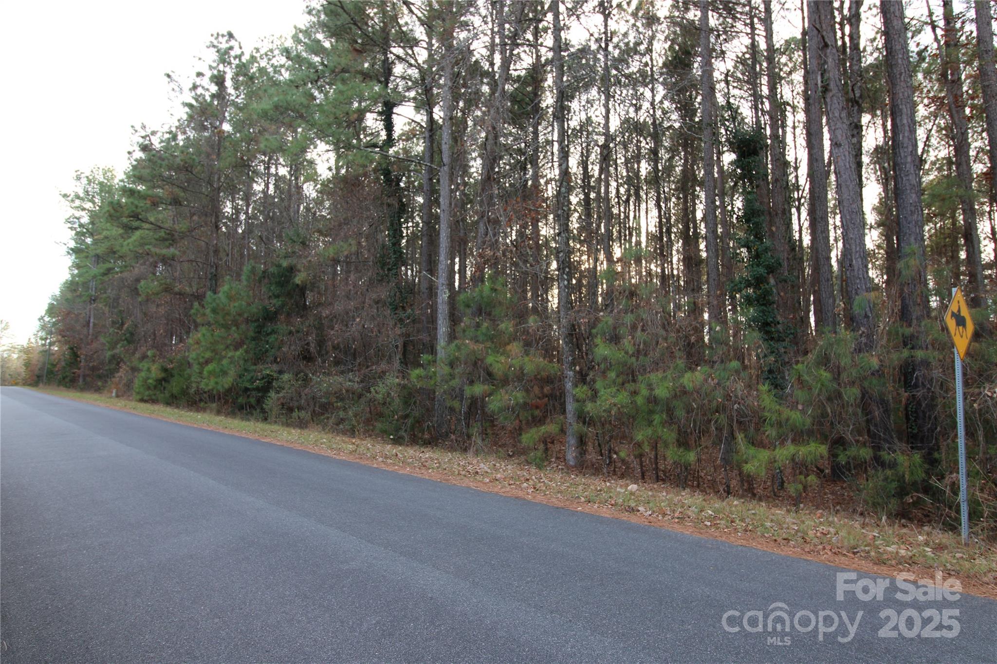 14.5-ac Pioneer Road York, SC 29745 - Photo 17 of 18 a view of a road from a balcony