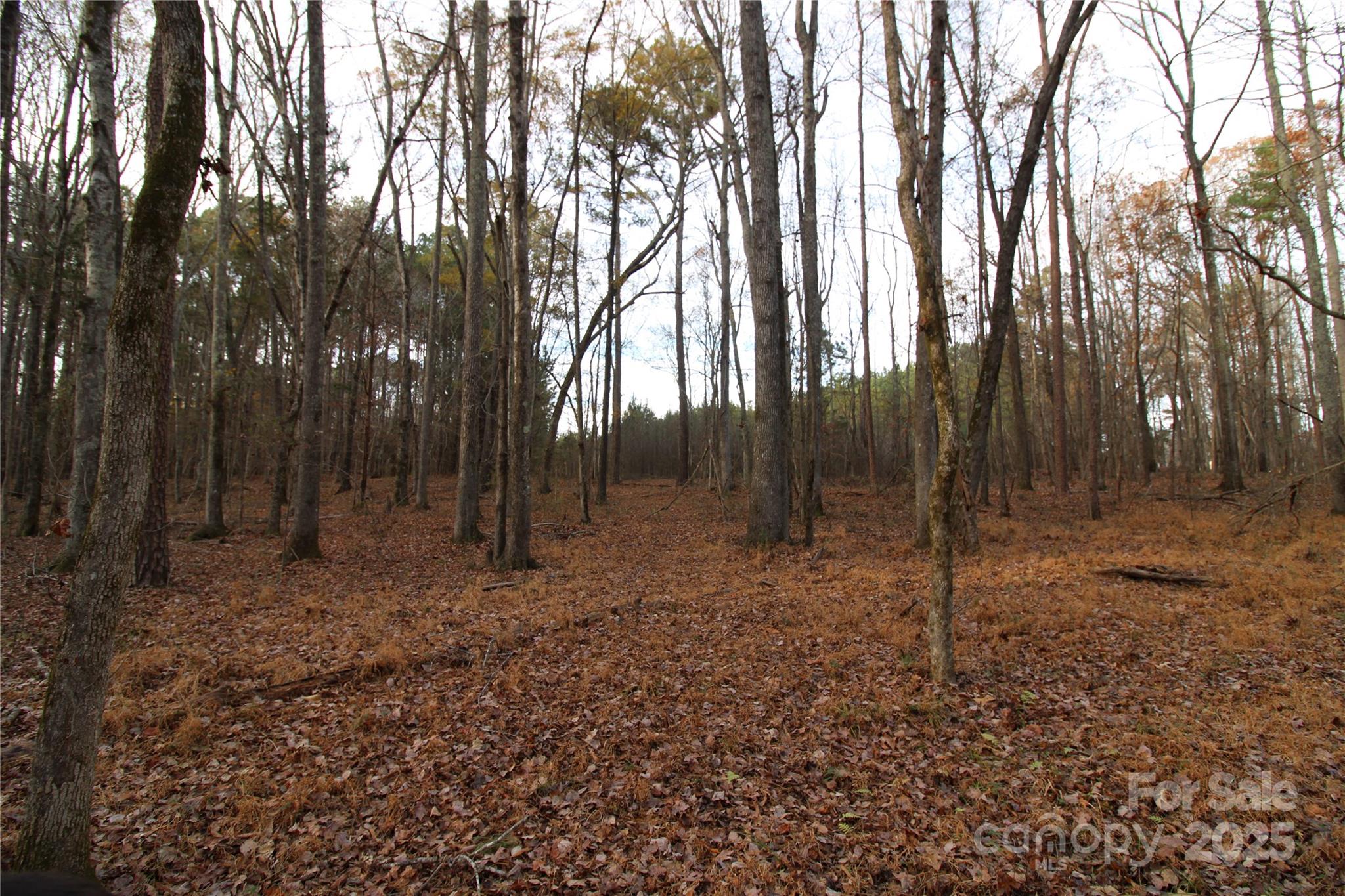 14.5-ac Pioneer Road York, SC 29745 - Photo 9 of 18 a backyard of a house with lots of green space