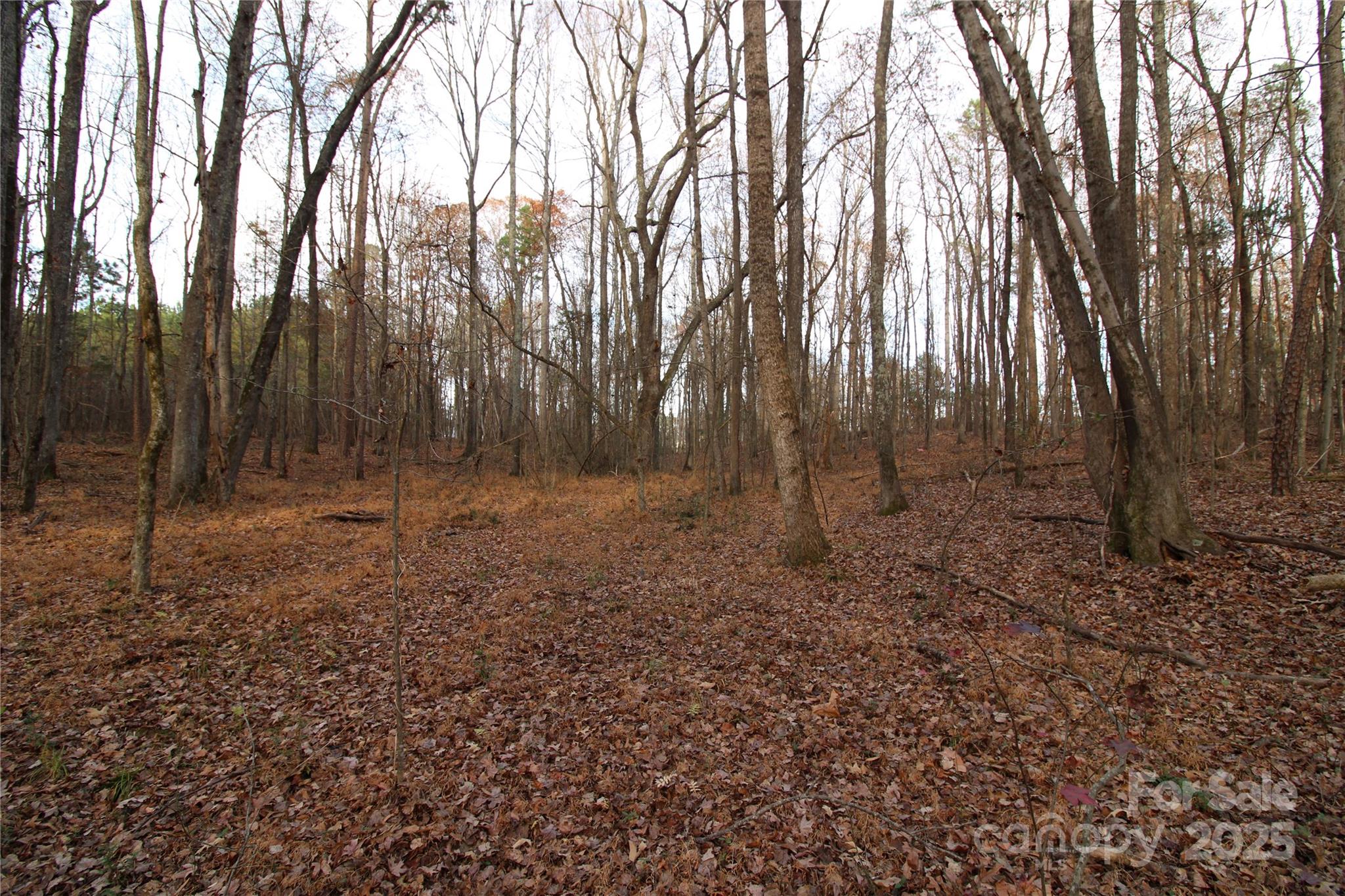 14.5-ac Pioneer Road York, SC 29745 - Photo 10 of 18 a view of outdoor space with trees