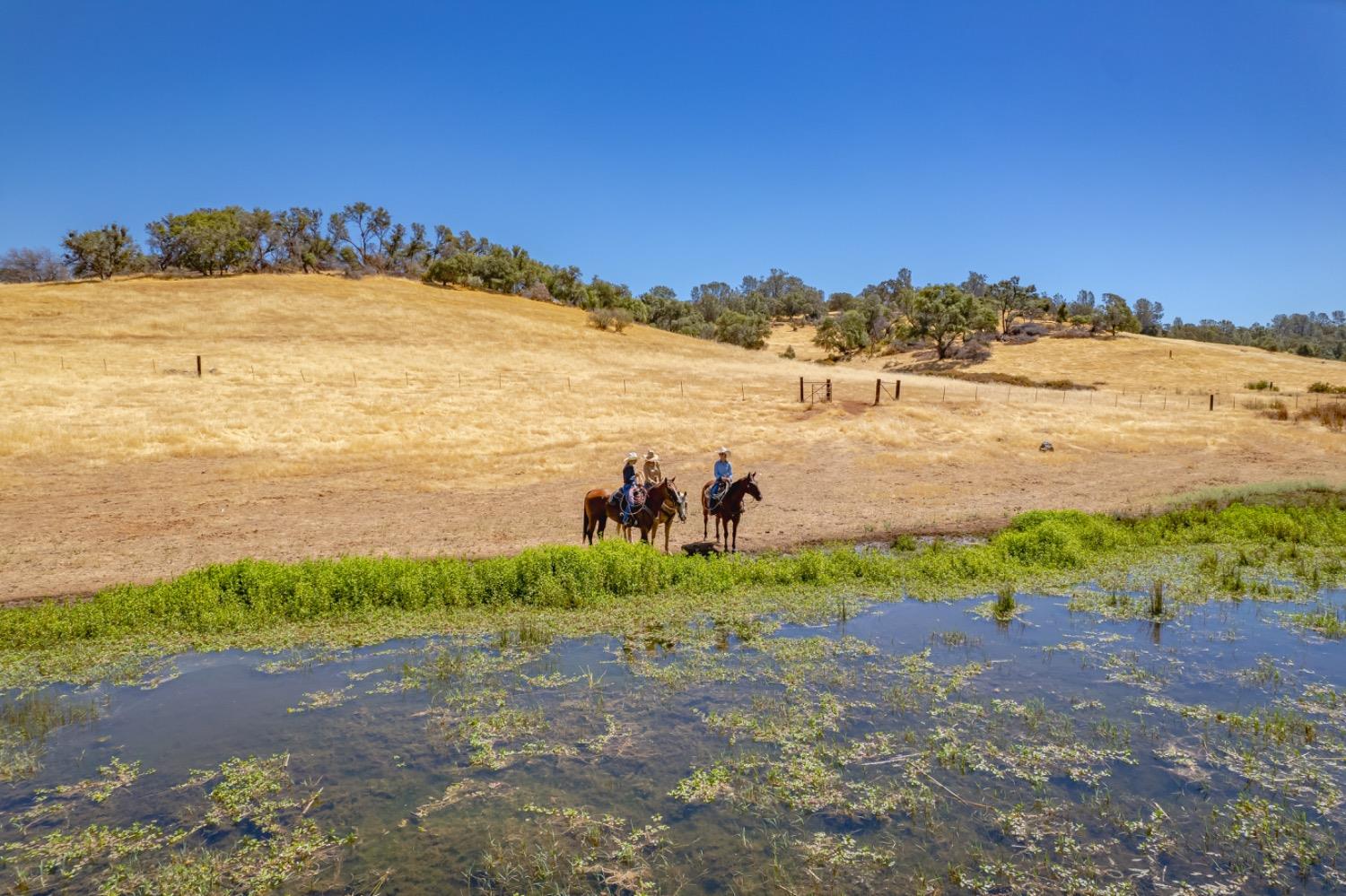 27044 McCourtney Road Grass Valley, CA 95949 - Photo 52 of 74