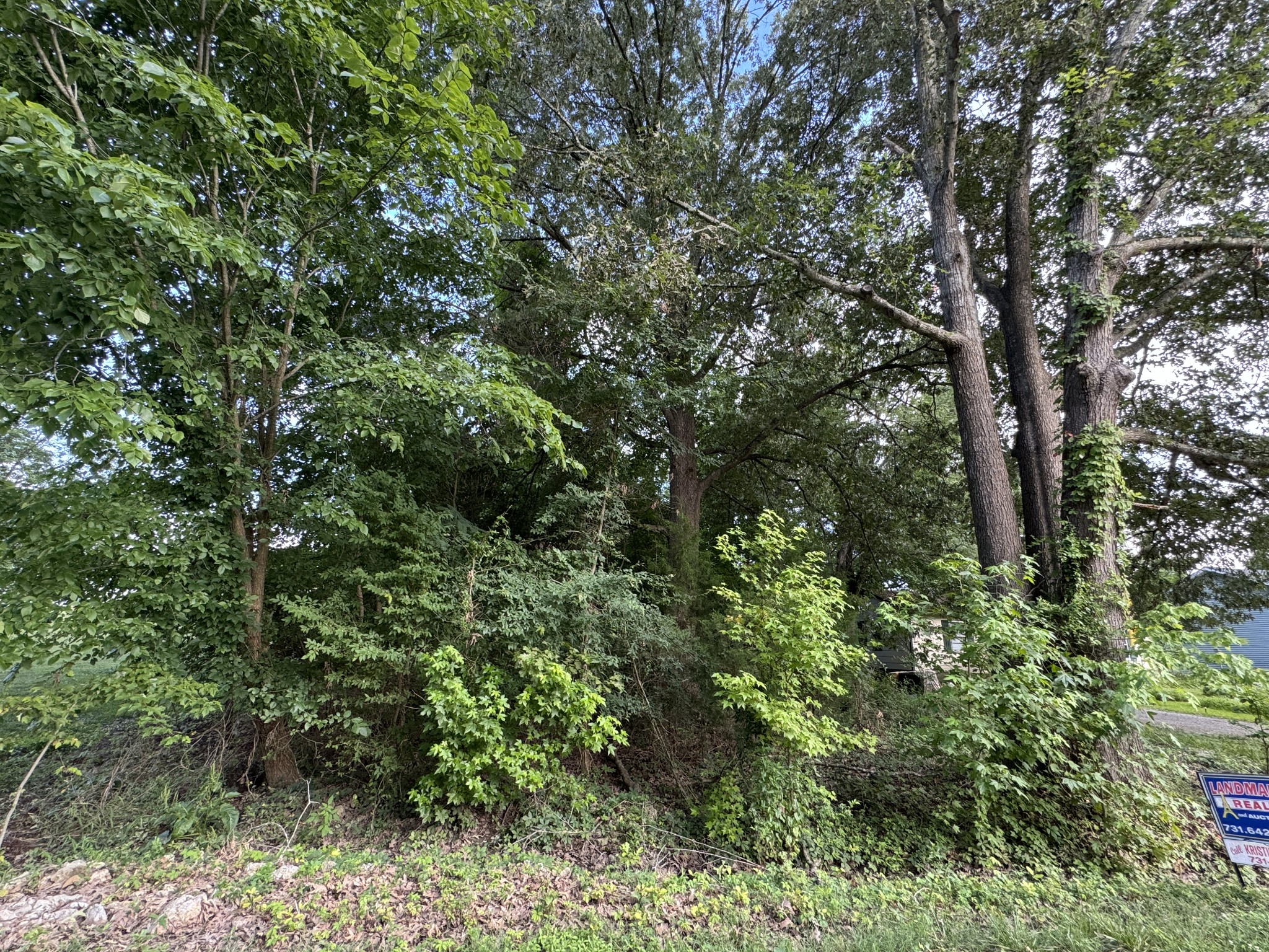 0 Antioch Harbor Road Springville, TN 38256 - Photo 2 of 4 Gallery Image 2