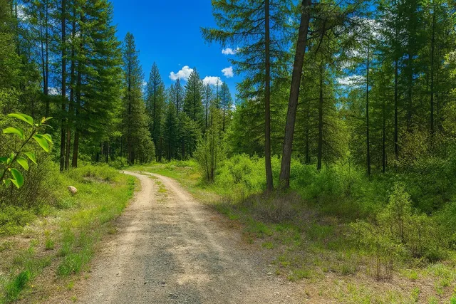 $42,000 | 1-xx Rocky Canyon Road, Unit 3629220014, Tonasket, WA 98855