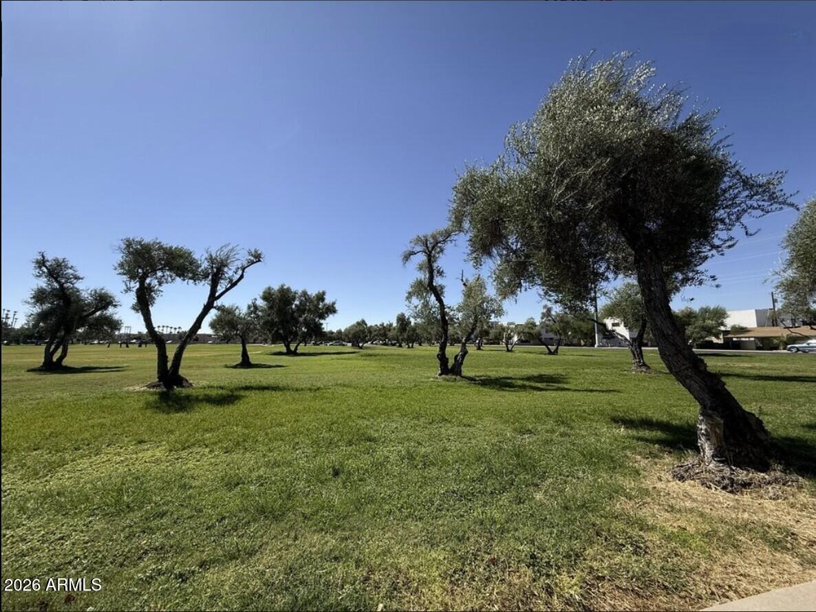 4139 North 27th Street, Unit 1 Phoenix, AZ 85016 - Photo 26 of 31 a view of a park