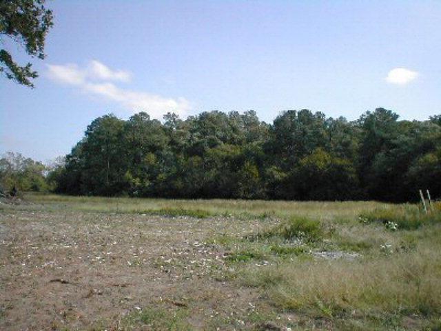 Lot D3 Johnsons Landing Road, Unit D3 Parksley, VA 23421 - Photo 1 of 2