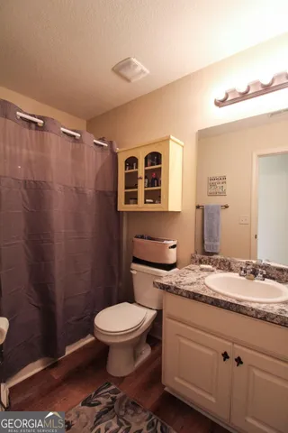 a bathroom with a granite countertop toilet sink and mirror