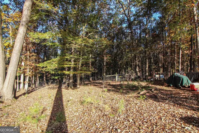 a view of a park with large trees