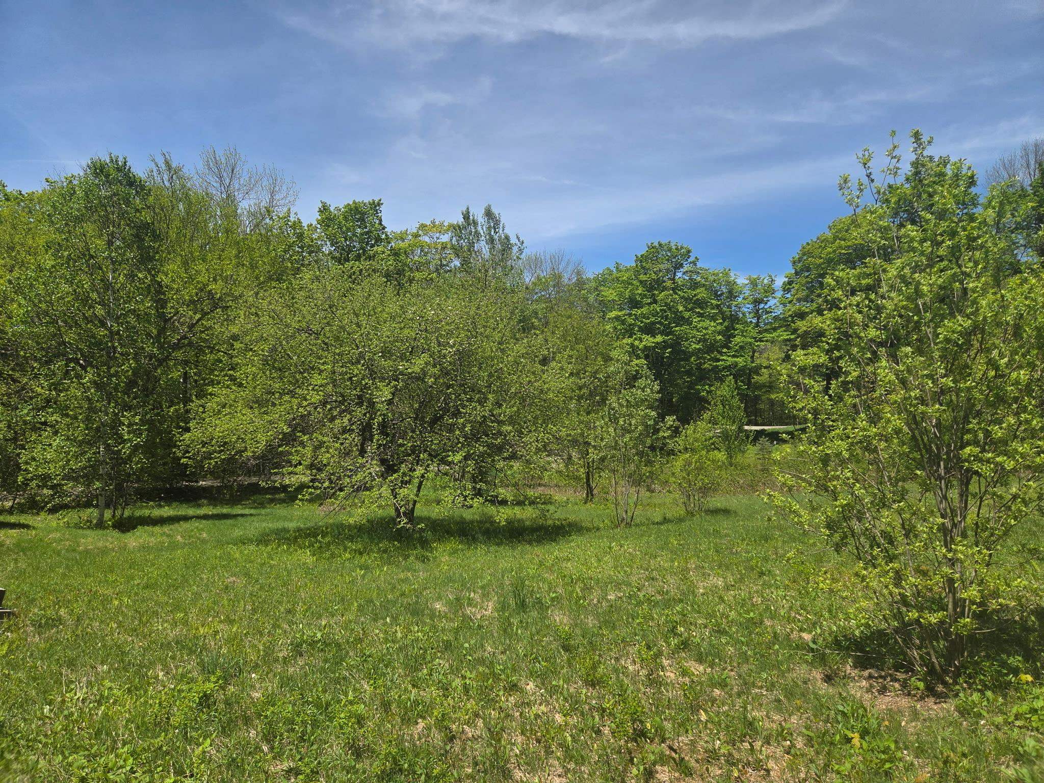 1440 Stevens Road Bridgewater, VT 05035 - Photo 21 of 22