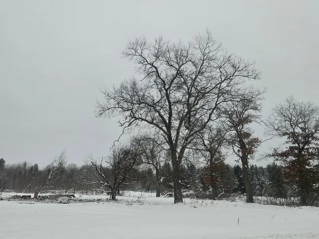 $65,000 | 26952 County Rd Ff, Webster, WI 54893