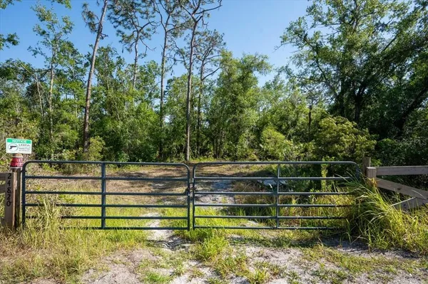 a view of a yard with wooden fence