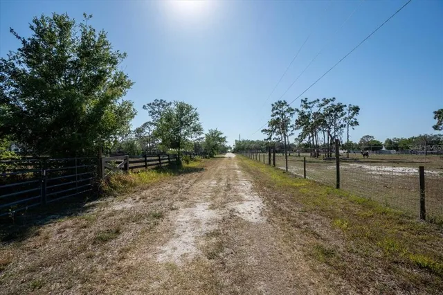 a view of a yard with large trees