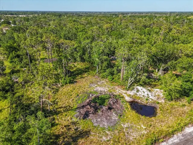 a close up of a plant