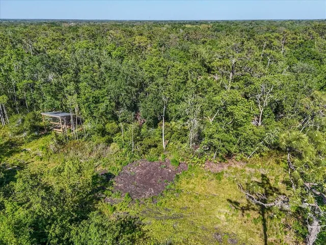 a view of a lush green forest with a bench and trees