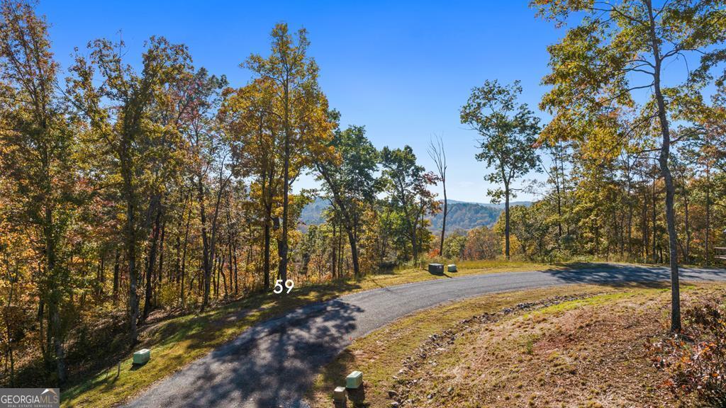 Lot 59 Ridge Line Trail Ellijay, GA 30540 - Photo 1 of 1 Gallery Image 1