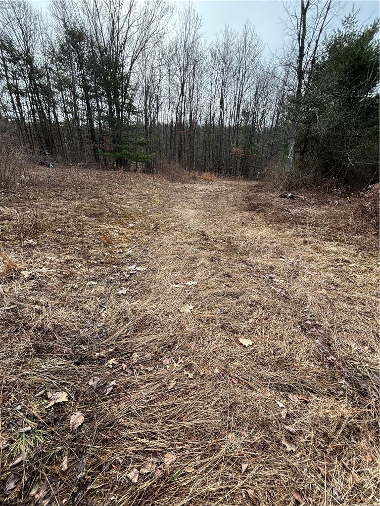 370 Ellis Creek Road Barton, NY 14892 - Photo 11 of 14