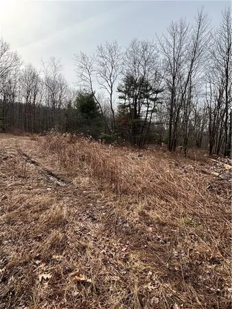 $81,000 | 370 Ellis Creek Road, Barton, NY 14892
