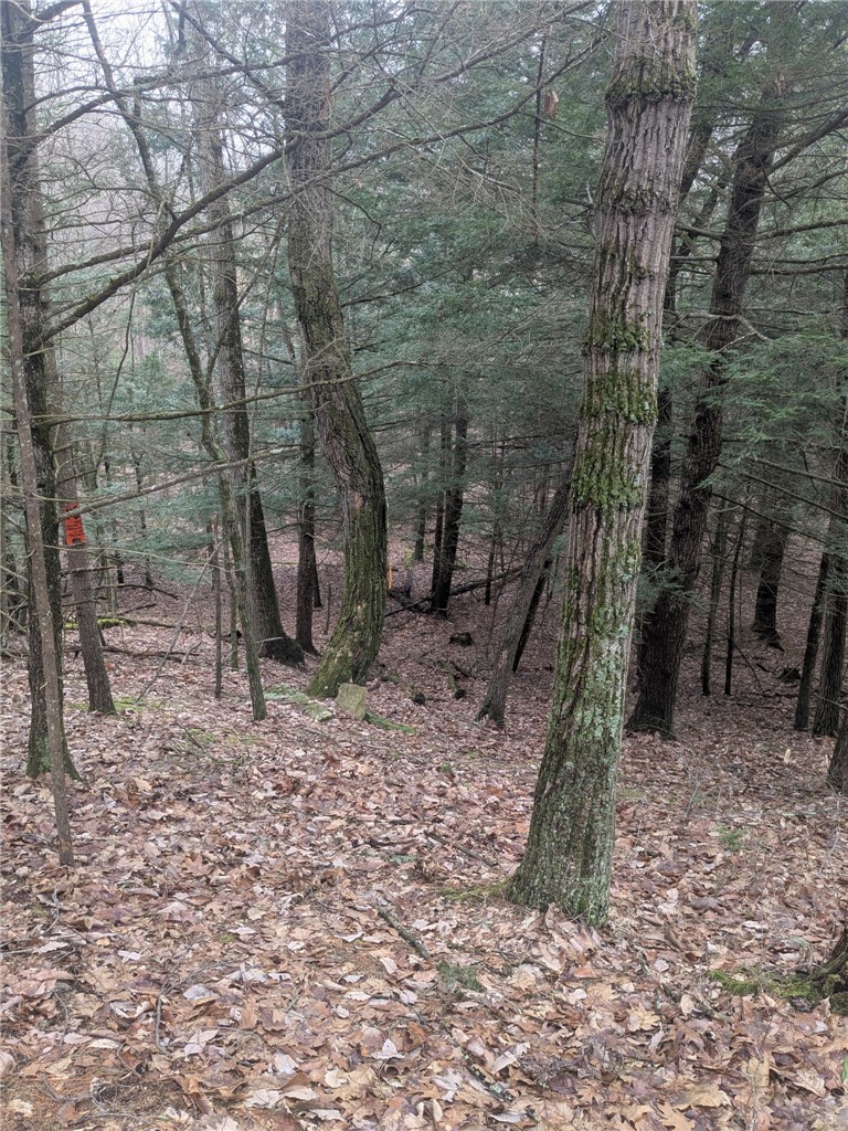 370 Ellis Creek Road Barton, NY 14892 - Photo 16 of 24