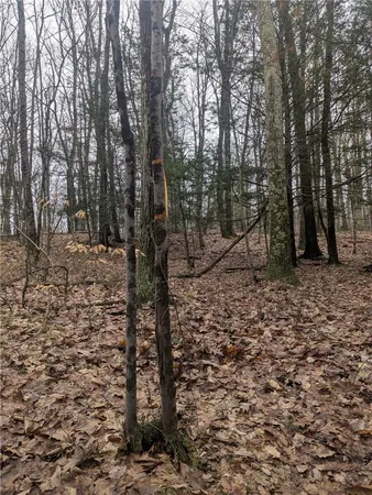 $81,000 | 370 Ellis Creek Road, Barton, NY 14892