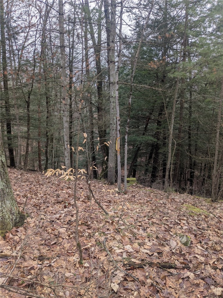 370 Ellis Creek Road Barton, NY 14892 - Photo 18 of 24