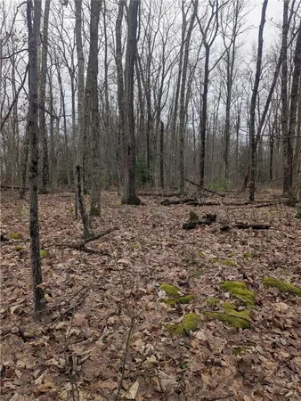 $81,000 | 370 Ellis Creek Road, Barton, NY 14892
