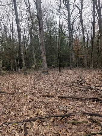 $81,000 | 370 Ellis Creek Road, Barton, NY 14892