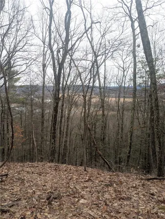 $81,000 | 370 Ellis Creek Road, Barton, NY 14892