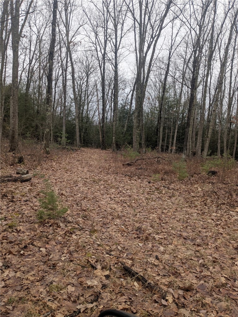 370 Ellis Creek Road Barton, NY 14892 - Photo 24 of 24