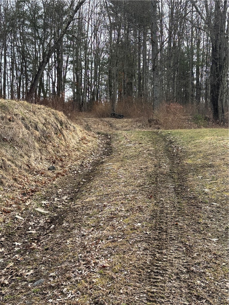 370 Ellis Creek Road Barton, NY 14892 - Photo 3 of 14