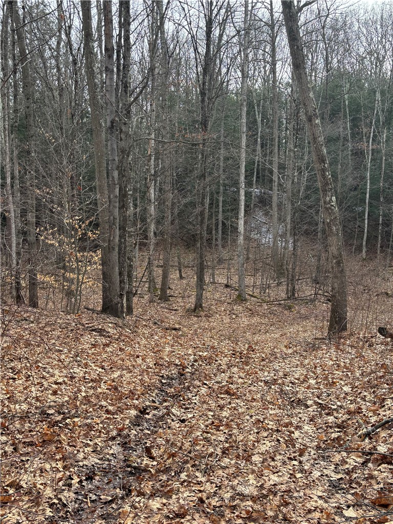 370 Ellis Creek Road Barton, NY 14892 - Photo 4 of 14