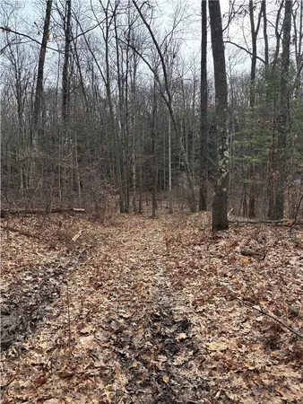 $81,000 | 370 Ellis Creek Road, Barton, NY 14892