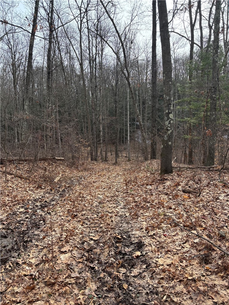 370 Ellis Creek Road Barton, NY 14892 - Photo 5 of 14