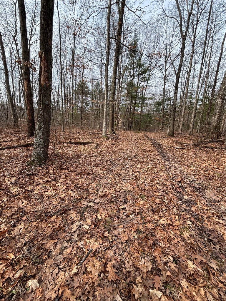 370 Ellis Creek Road Barton, NY 14892 - Photo 6 of 14