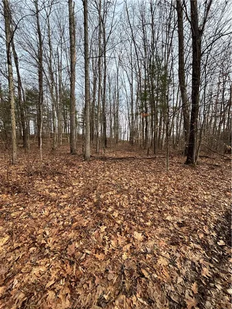 $81,000 | 370 Ellis Creek Road, Barton, NY 14892