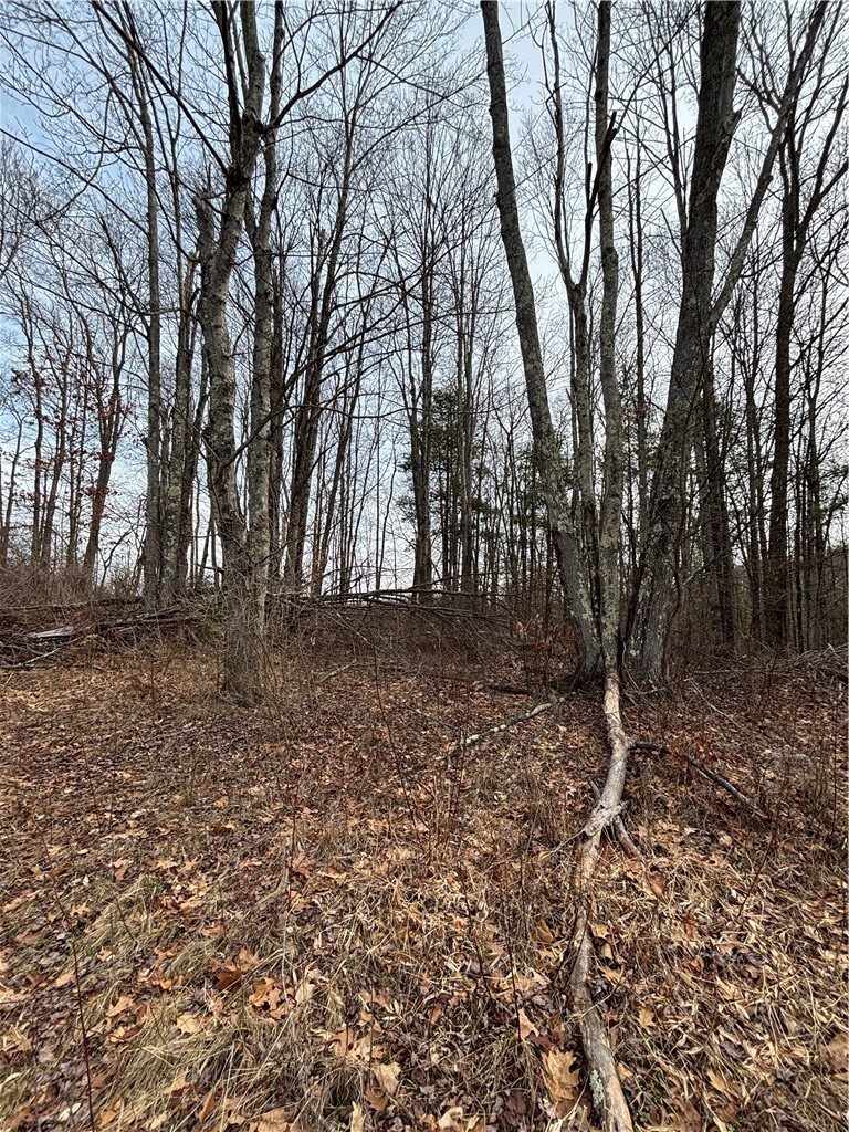 370 Ellis Creek Road Barton, NY 14892 - Photo 10 of 14