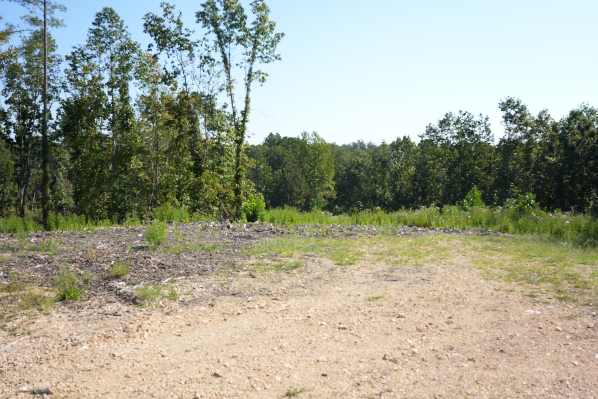 2026 Low Gap Road Sugar Tree, TN 38380 - Photo 3 of 19 Gallery Image 3