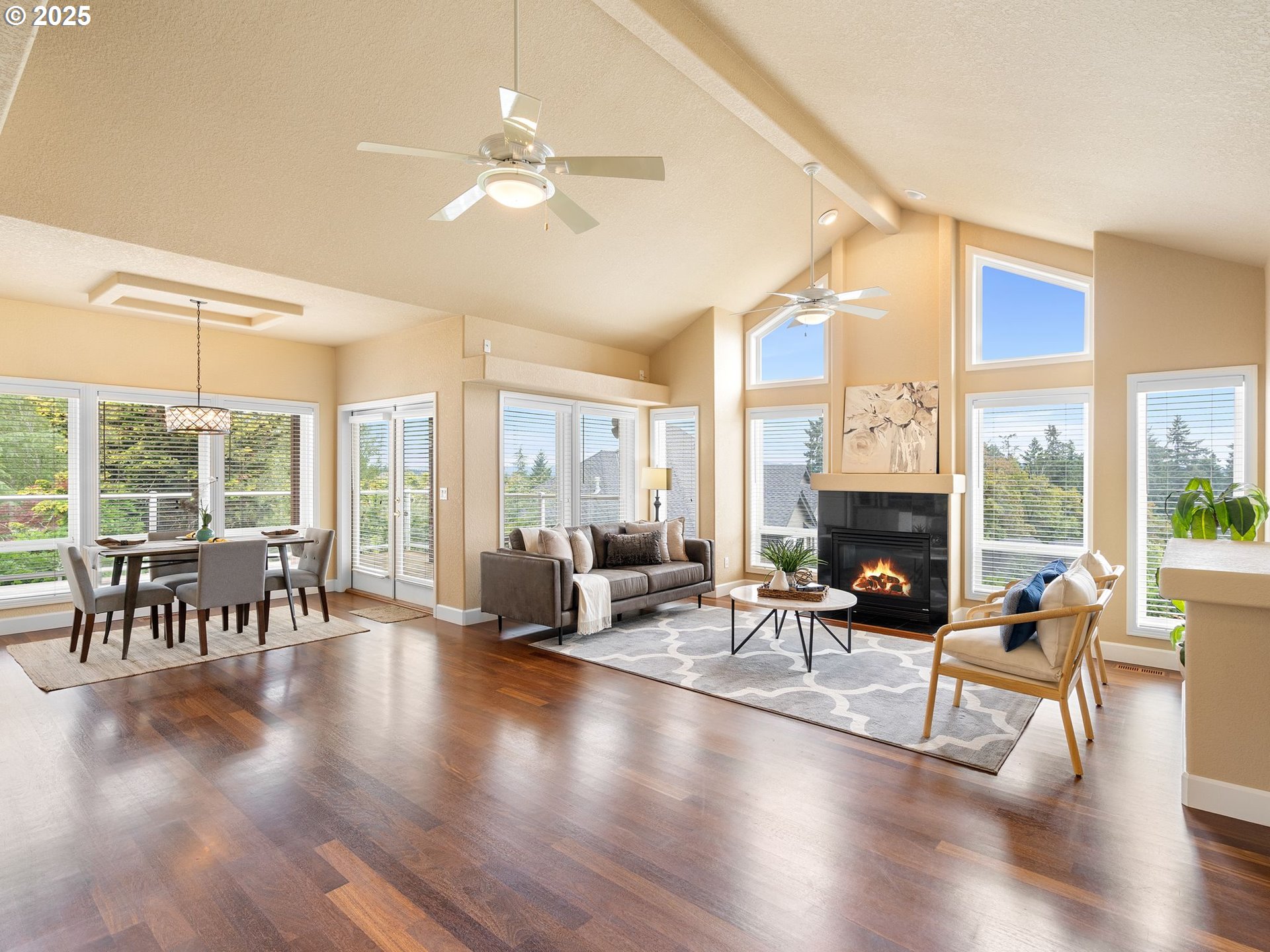 Living Room/Dining Room