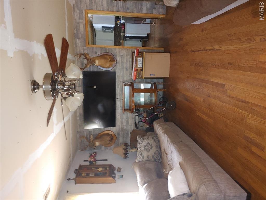 209 County Road 101 Ironton, MO 63650 - Photo 26 of 29