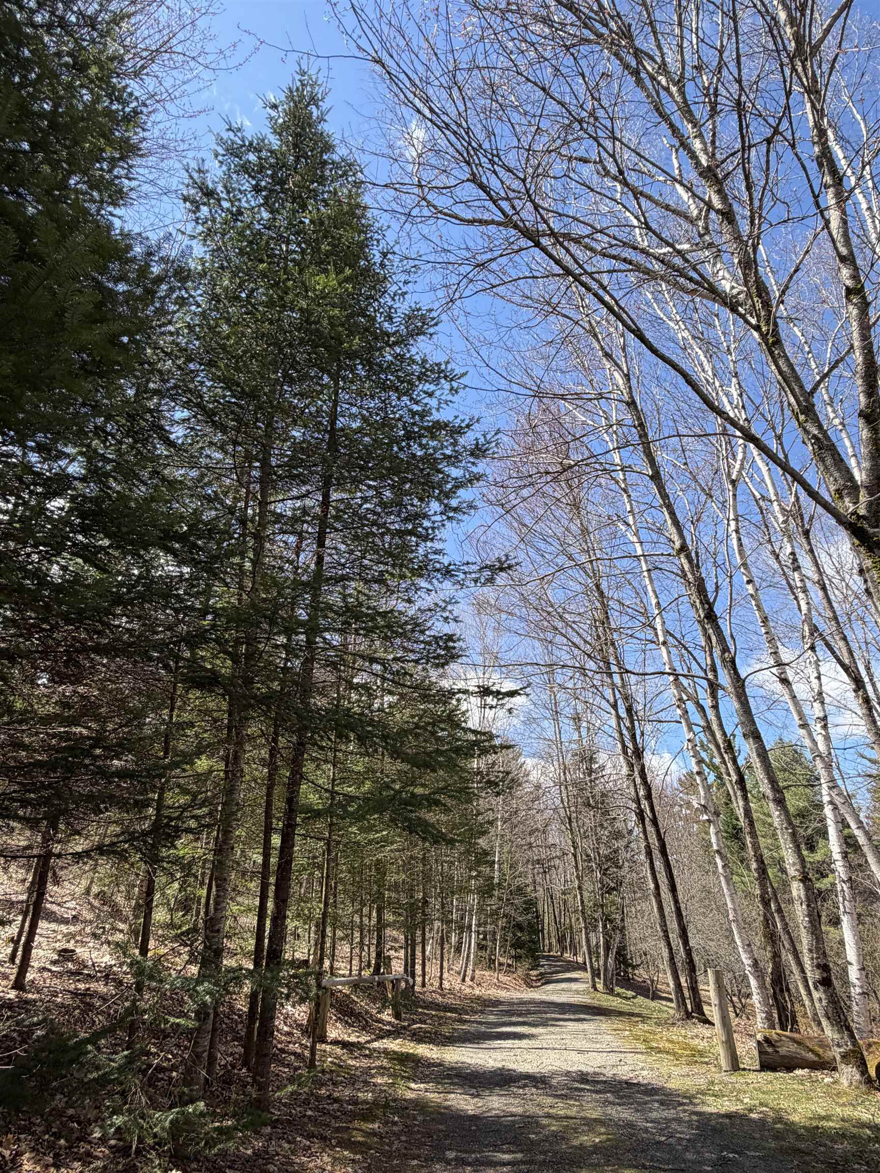 36 Mountain Road Dalton, NH 03598 - Photo 51 of 53