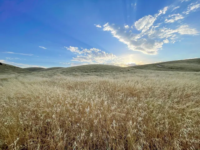 $849,000 | 0 Hwy 41, Templeton, CA 93465