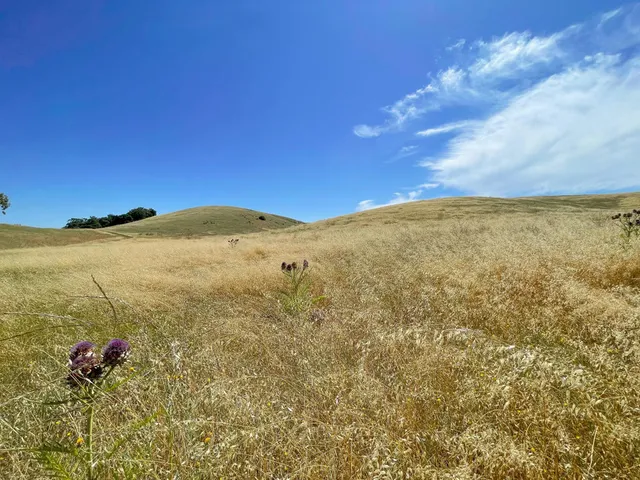 $849,000 | 0 Hwy 41, Templeton, CA 93465