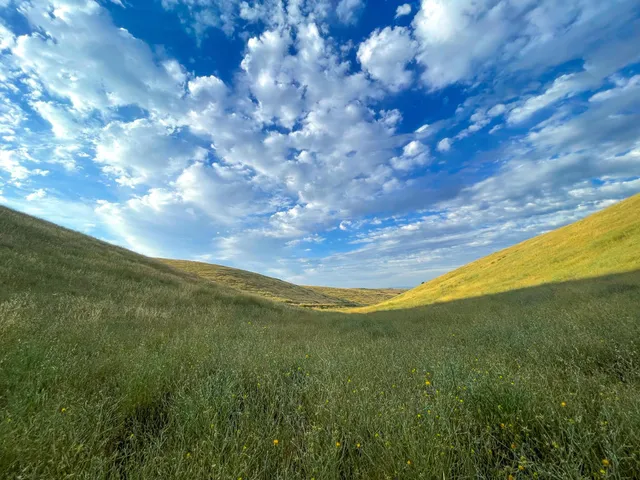 $865,000 | 0 Hwy 41, Templeton, CA 93465