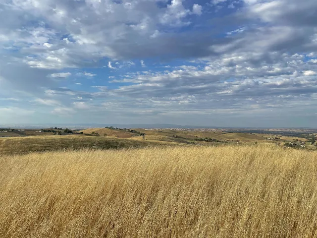 $849,000 | 0 Hwy 41, Templeton, CA 93465