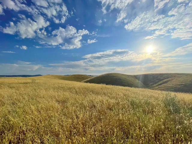 $849,000 | 0 Hwy 41, Templeton, CA 93465