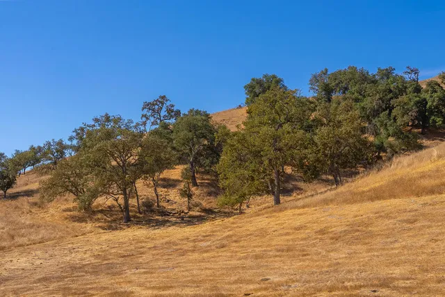 $849,000 | 0 Hwy 41, Templeton, CA 93465