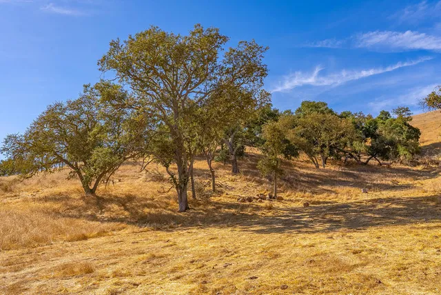 $849,000 | 0 Hwy 41, Templeton, CA 93465