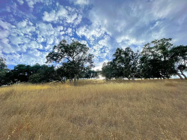$849,000 | 0 Hwy 41, Templeton, CA 93465