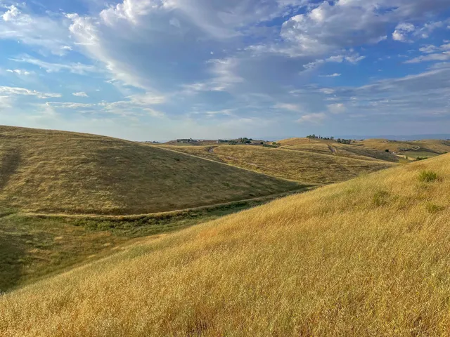 $849,000 | 0 Hwy 41, Templeton, CA 93465