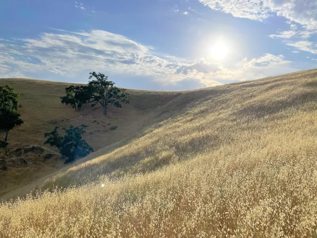 $865,000 | 0 Hwy 41, Templeton, CA 93465