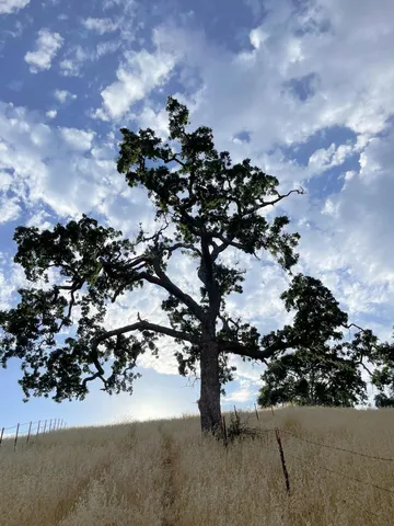 $849,000 | 0 Hwy 41, Templeton, CA 93465